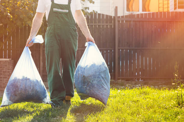 Yard Cleanup Services in Hamtramck, MI